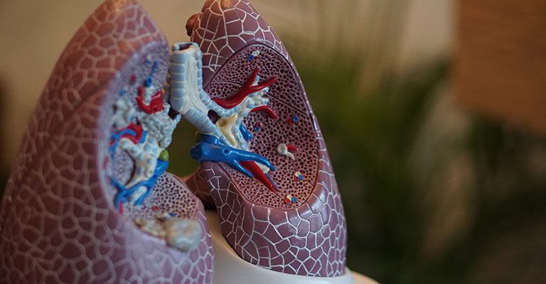 Efectos De Contaminantes En El Sistema Respiratorio